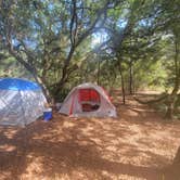 Review photo of Withlacoochee River Park by Steve E., May 2, 2022