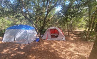 Steve E.'s photo at Withlacoochee River Park in Florida