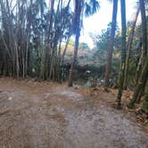 Review photo of Koreshan State Park Campground by Steve E., May 2, 2022