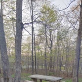 Review photo of Mount Magazine State Park Campground by deb K., May 2, 2022