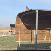 Review photo of Cedar Pass Campground — Badlands National Park by Tod S., May 2, 2022