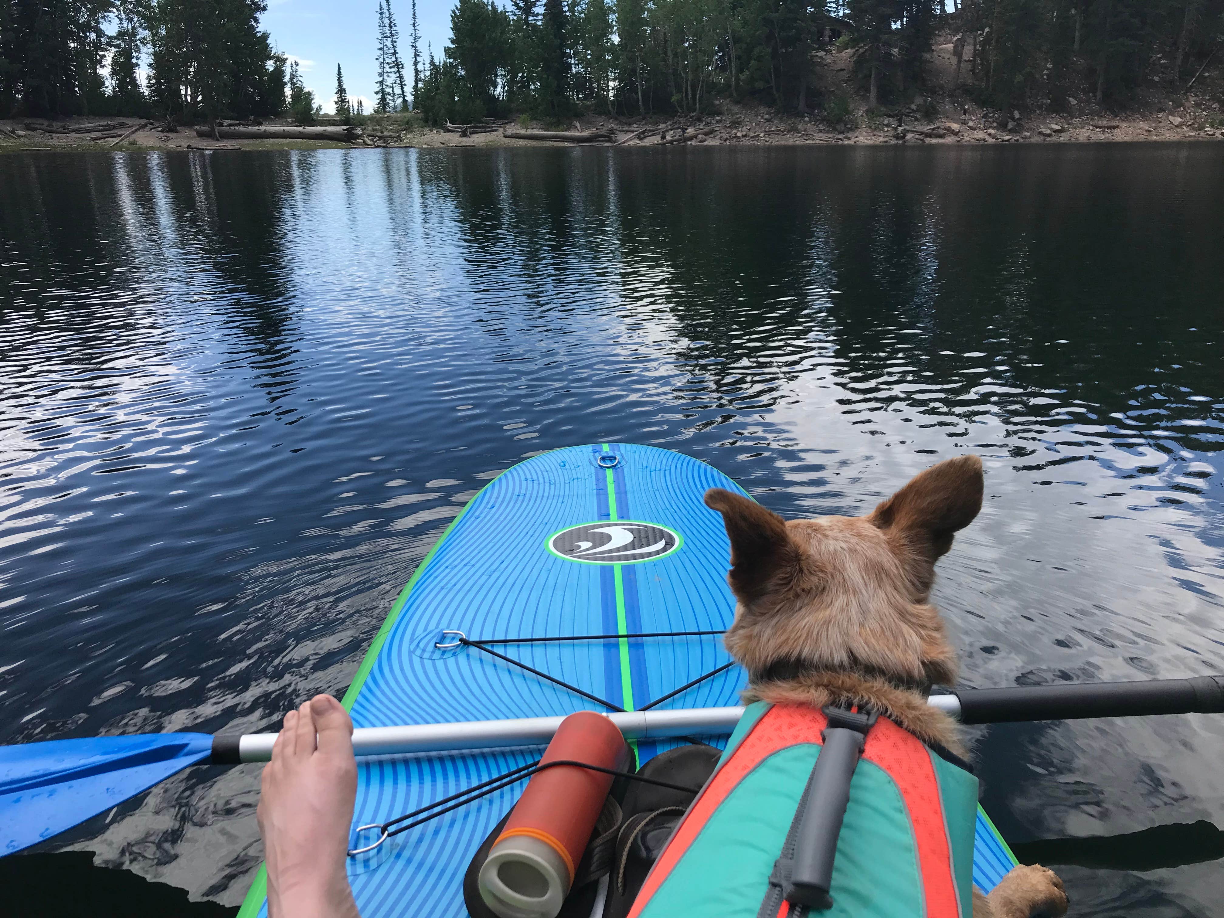 Camper submitted image from Pittsburg Lake Dispersed - 4