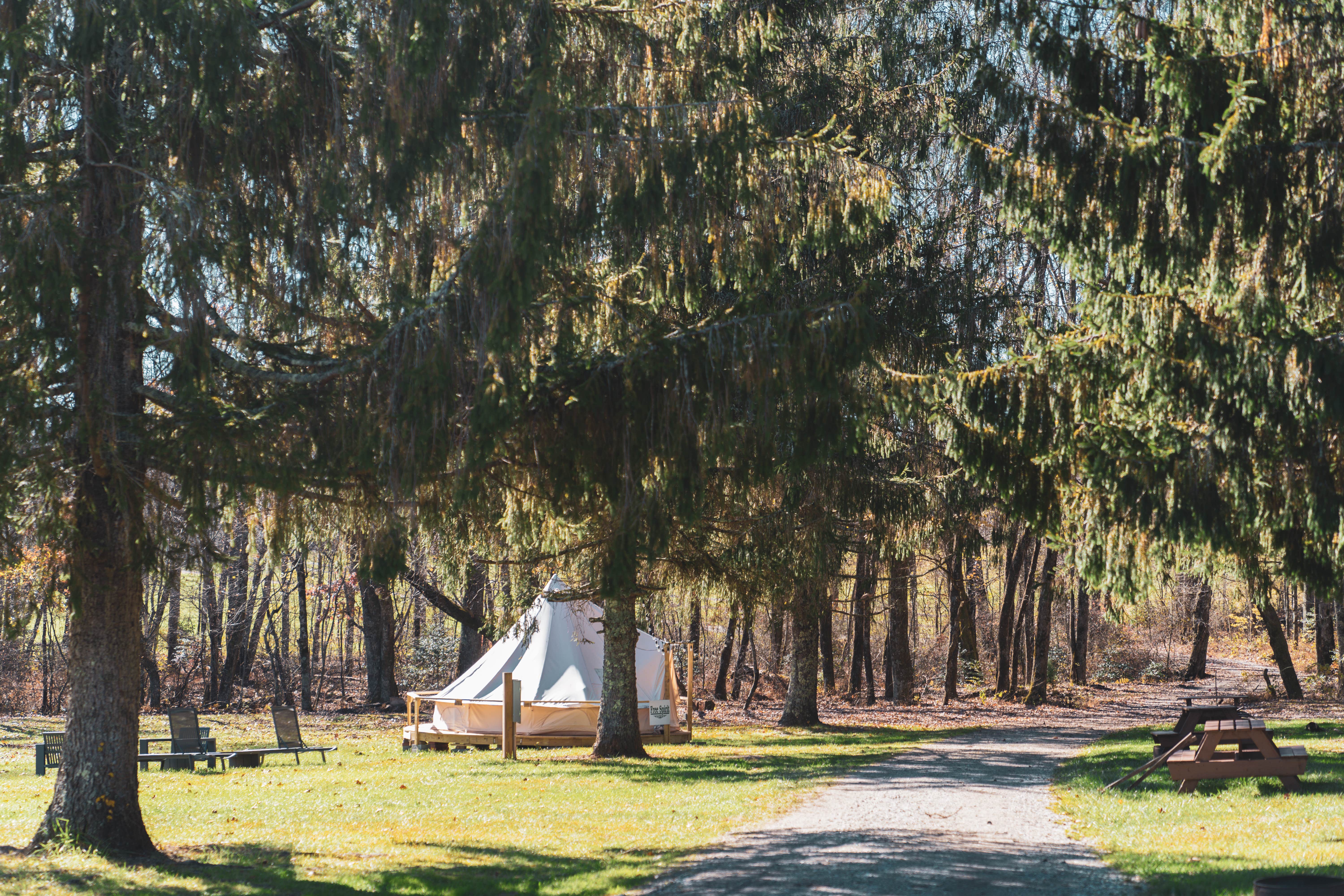 Celeste S.'s photo at Kennedy Creek Resort and Campground in Georgia