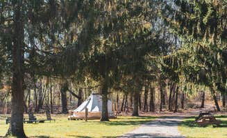 Celeste S.'s photo at Kennedy Creek Resort and Campground in Georgia