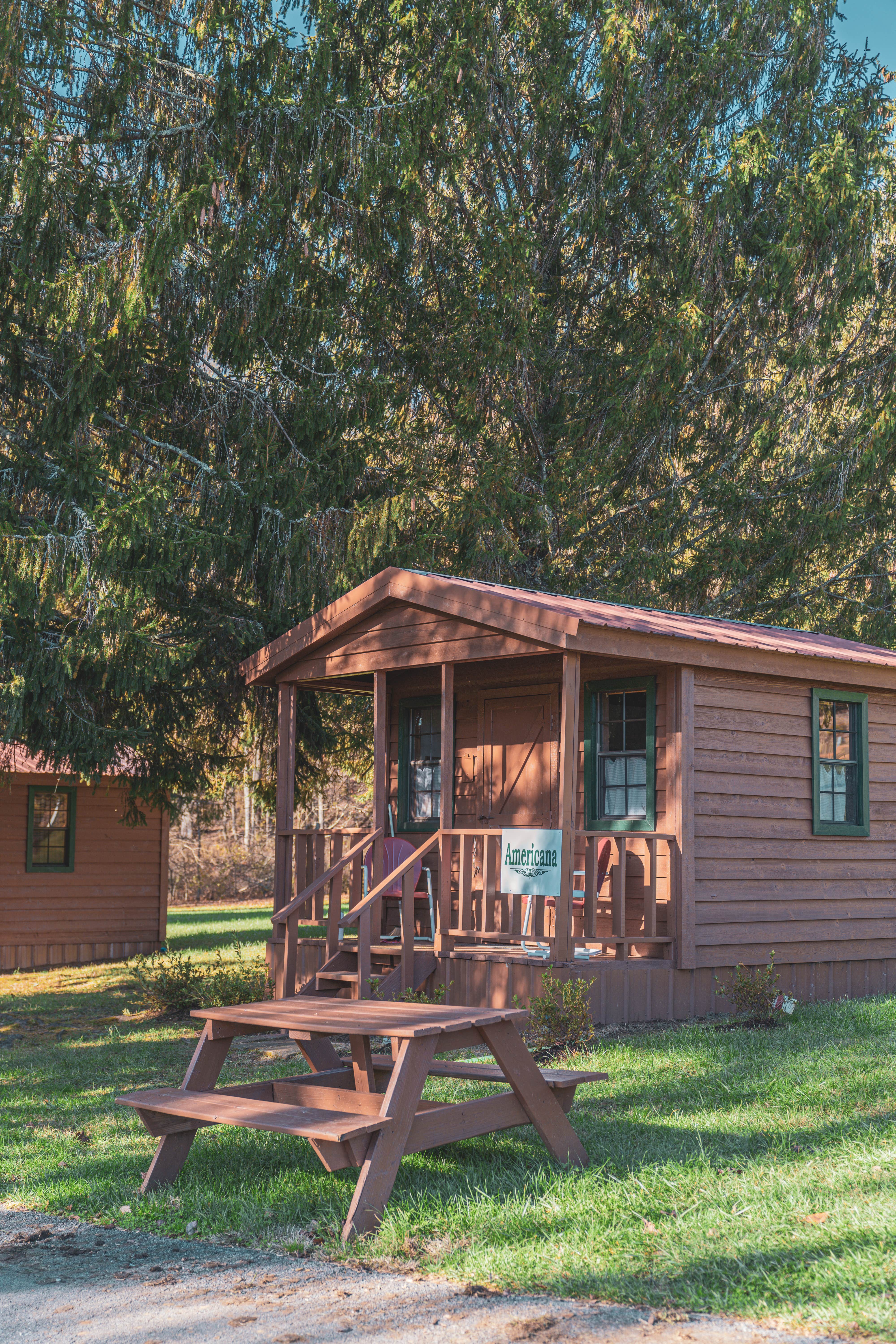 Celeste S.'s photo of a cabin at Kennedy Creek Resort and Campground near Murphy, NC