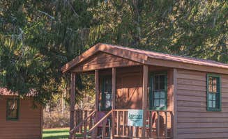 Celeste S.'s photo of a cabin at Kennedy Creek Resort and Campground near Cherry Log, GA