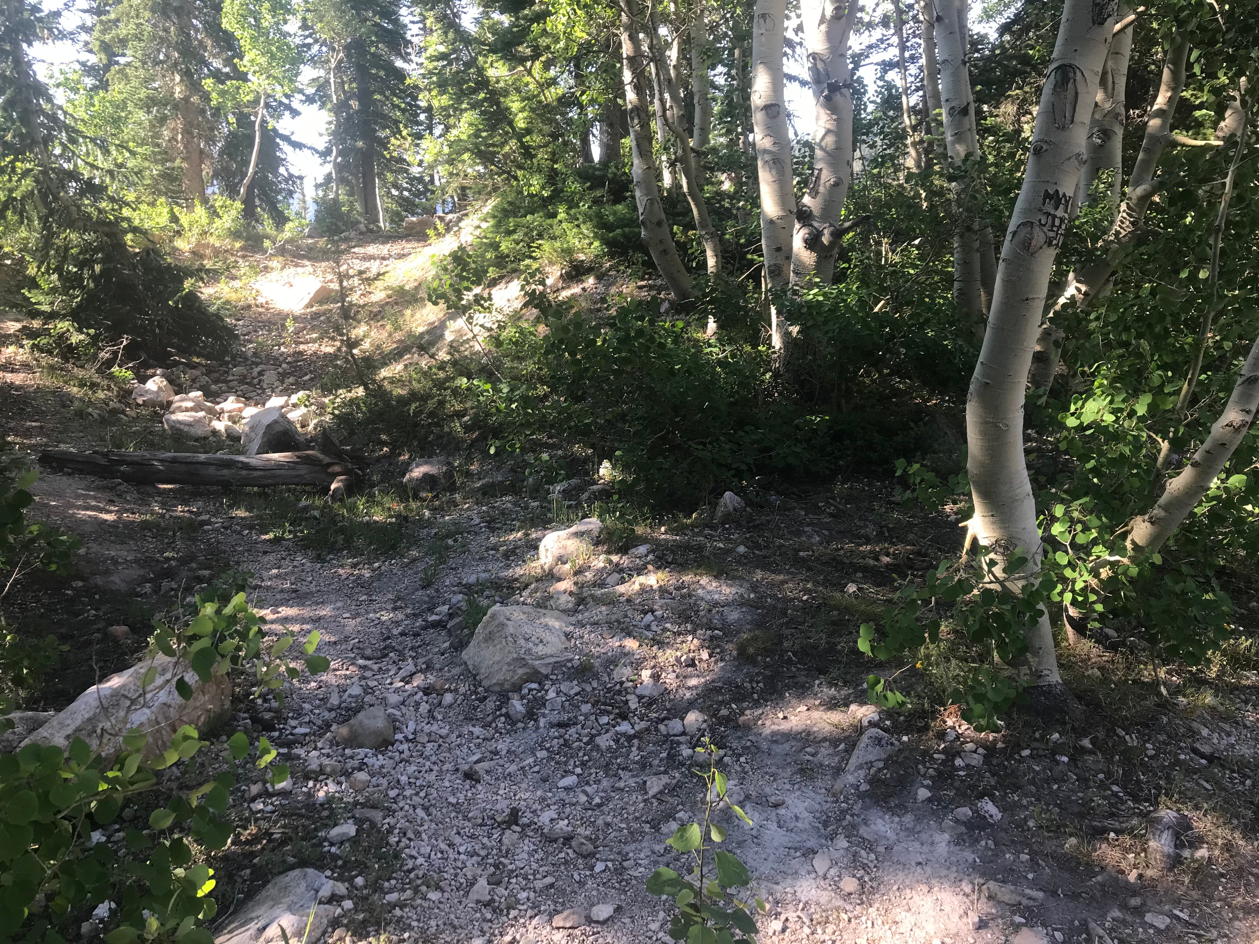 Part of the hiking trail up to the lake.  About half (if not more) of the trail is steep, loose, rocks so go slow if you are carrying a lot of gear or if you are not sure footed.