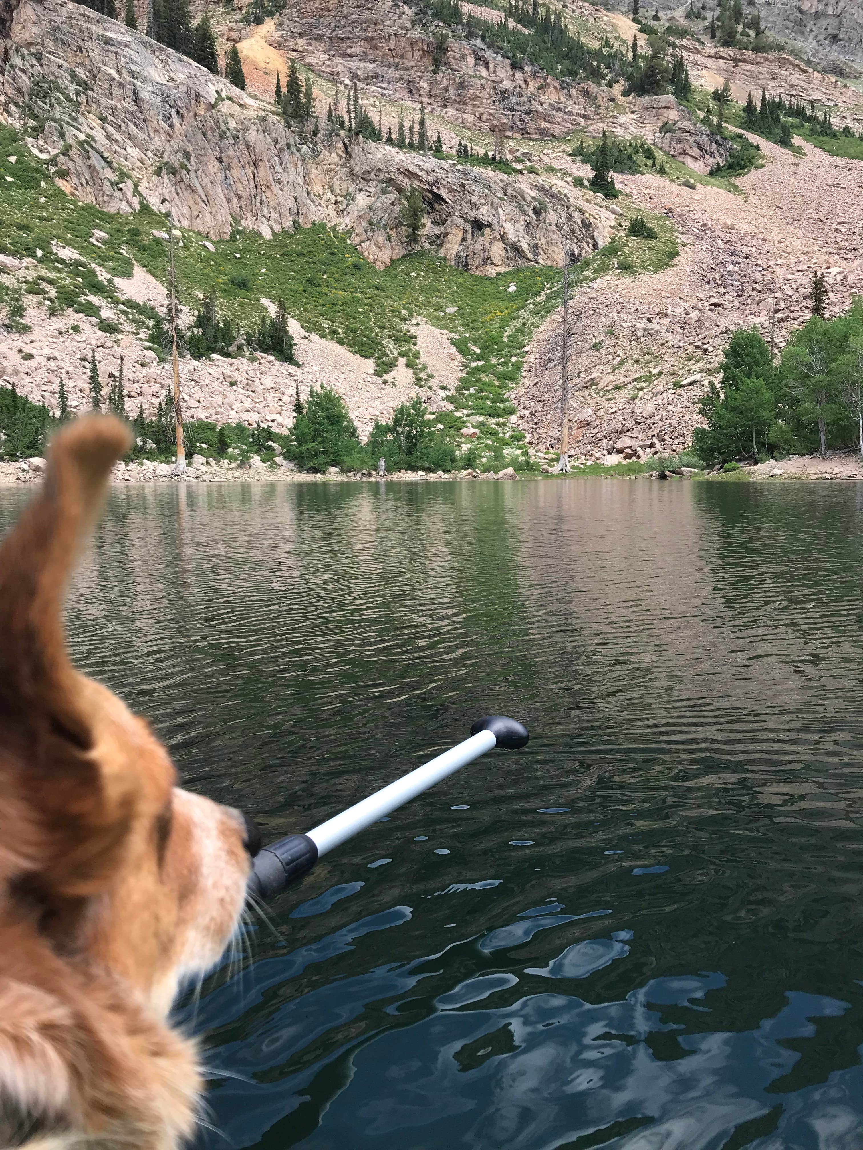 Camper-submitted photo at Pittsburg Lake Dispersed near Murray, UT