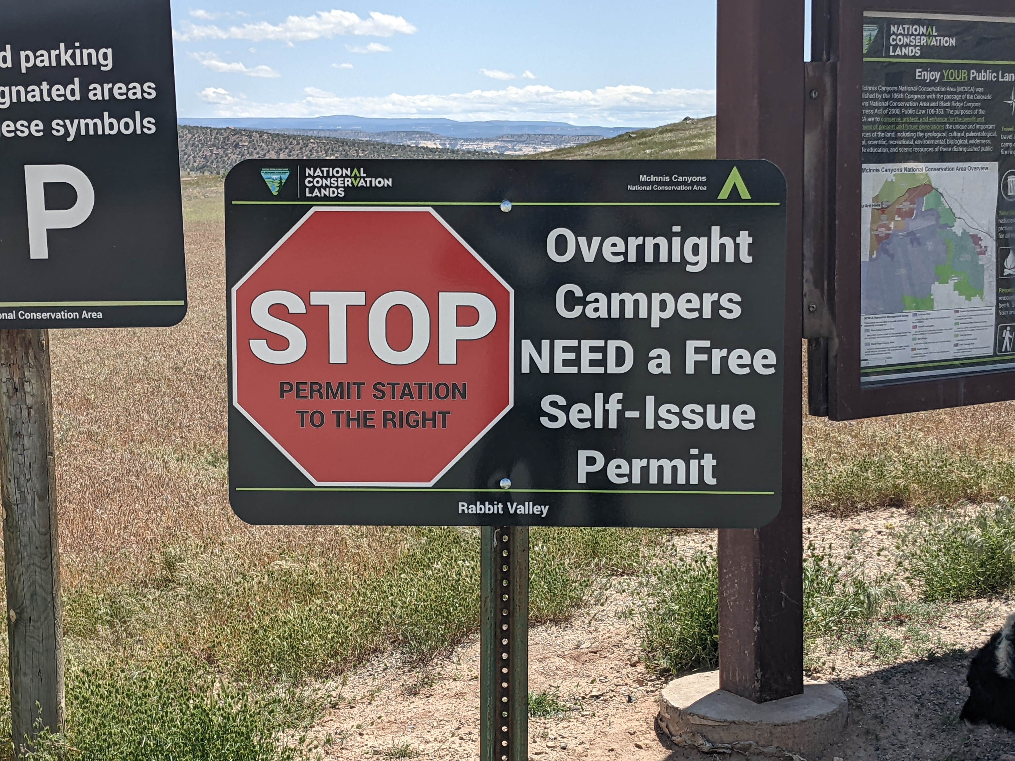 Camper submitted image from High North BLM Campground - 3
