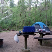 Review photo of Jefferson National Forest Cave Mountain Lake Campground by Kristy M., May 2, 2022