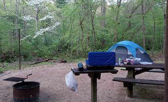 Kristy M.'s photo at Cave Mountain Lake Group Camp — George Washington & Jefferson National Forest near Huddleston, VA