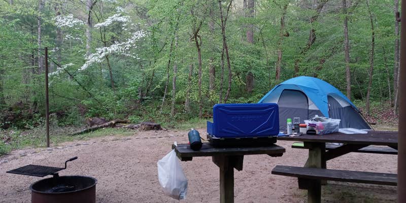 Camper submitted image from Cave Mountain Lake Group Camp — George Washington & Jefferson National Forest