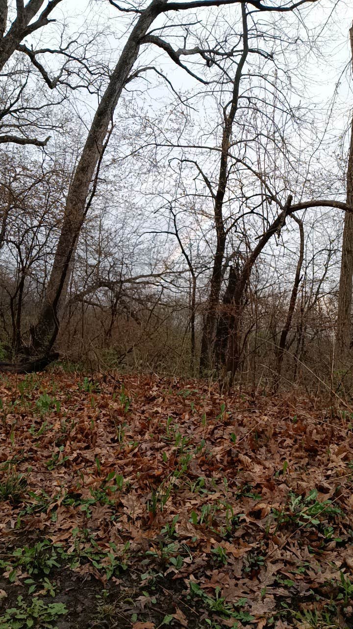 Camper-submitted photo at MacQueen Forest Preserve near Kirkland, IL