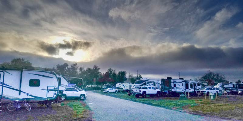 Camper submitted image from Alameda County Fairgrounds RV Park