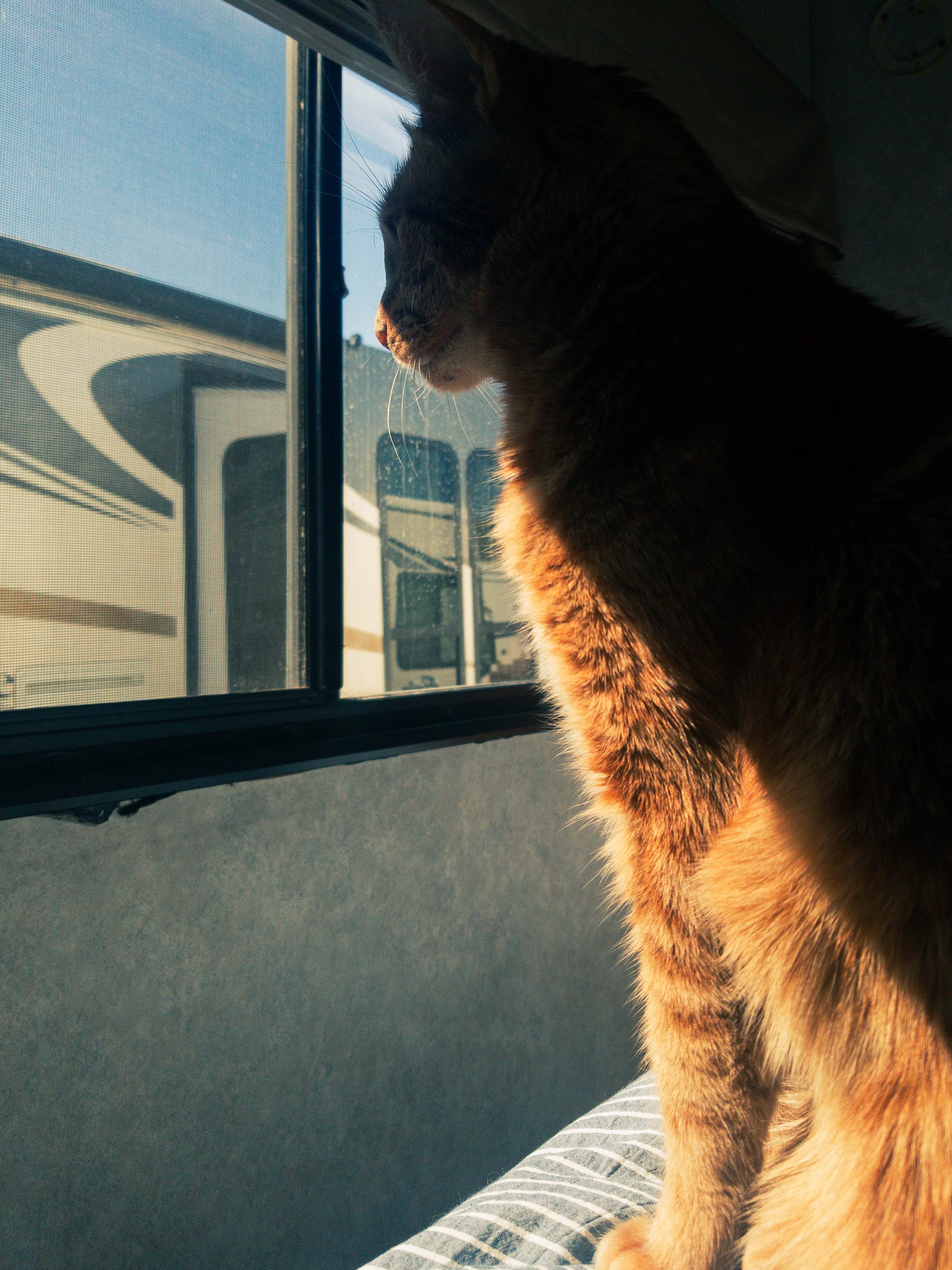 Camper-submitted photo at Holiday RV Park near Avilla Beach, CA