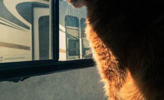 Pamela's photo of camping with pets at Holiday RV Park near Santa Maria, CA