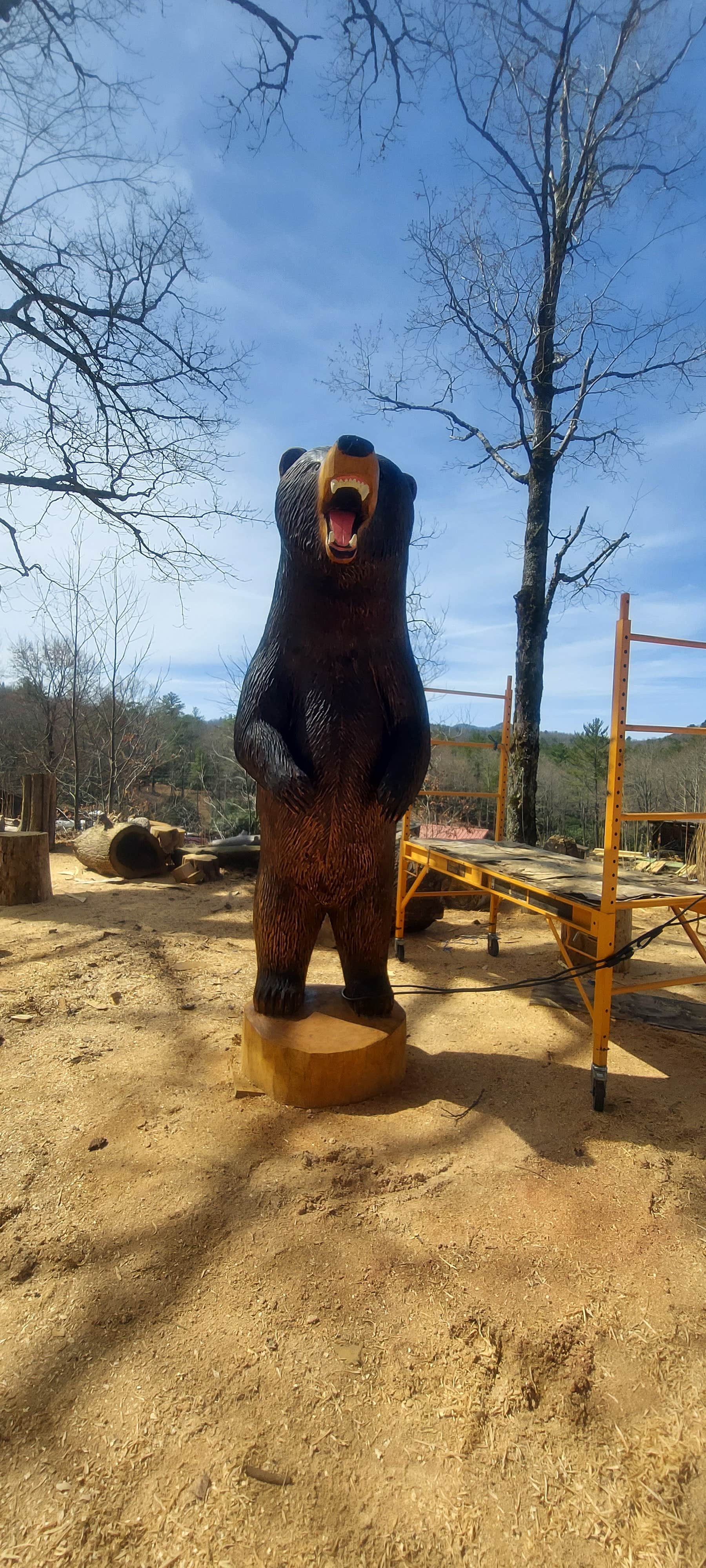 Camper-submitted photo at Panther Ridge RV Park and Campground near Balsam Grove, NC