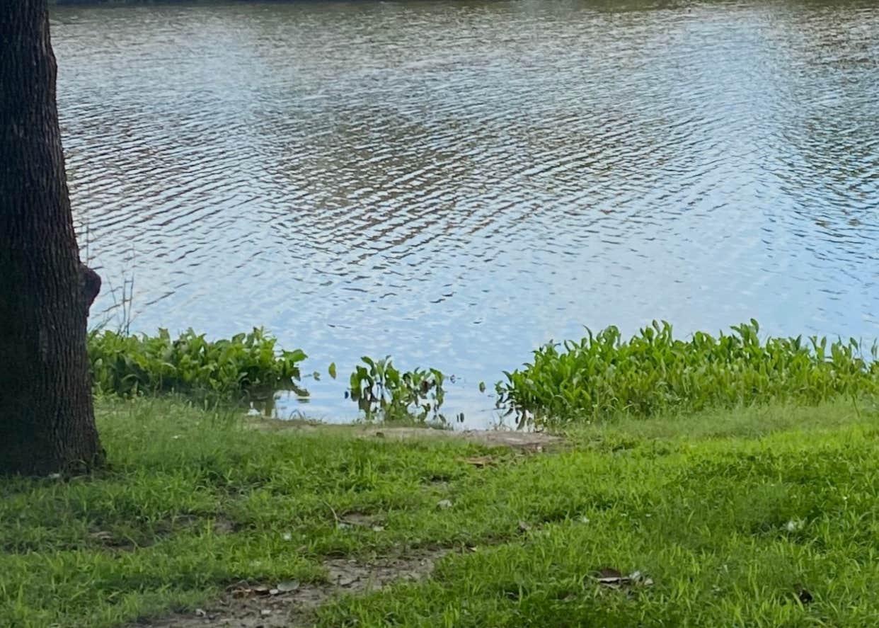 Afton Landing Camping The Dyrt