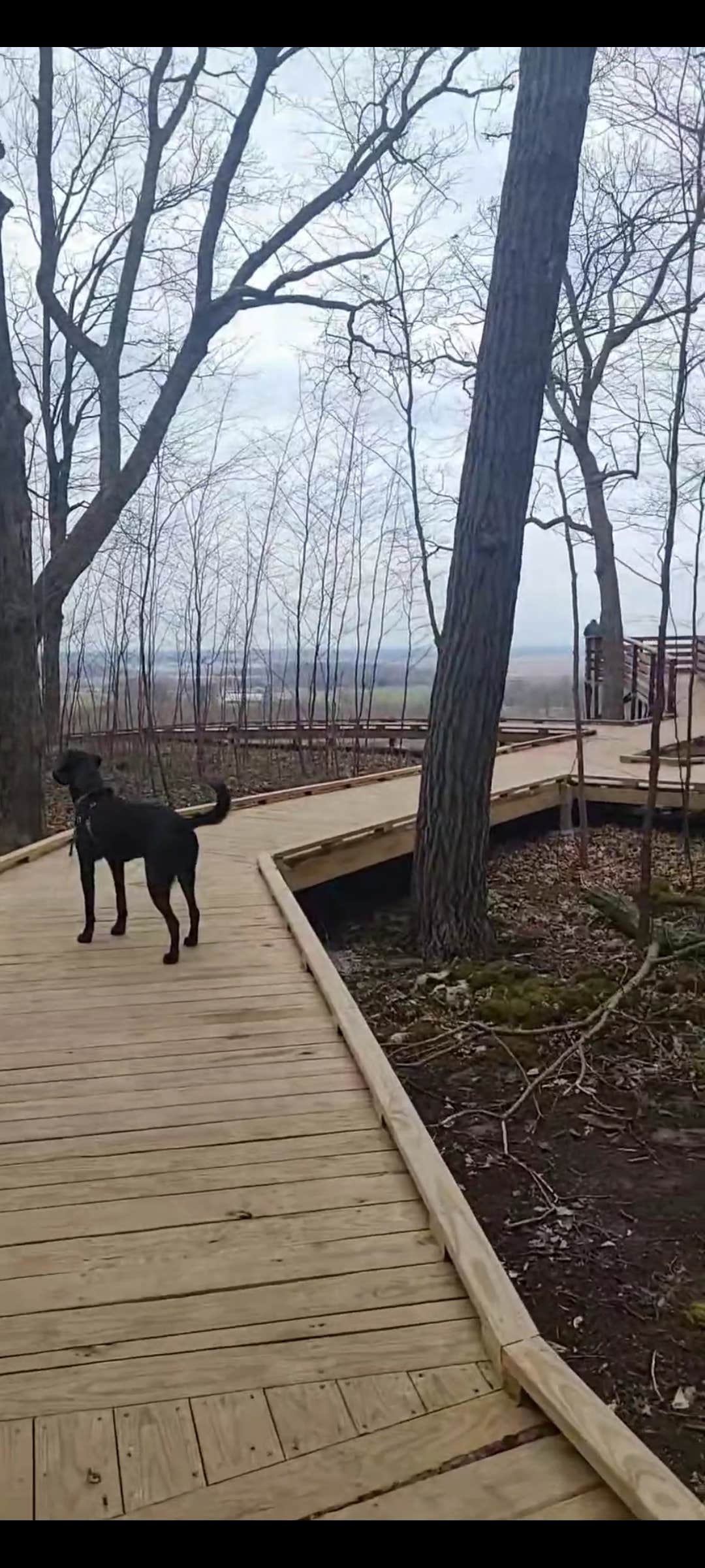 justin's photo of camping with pets at Ledge County Park near Wauwatosa, WI