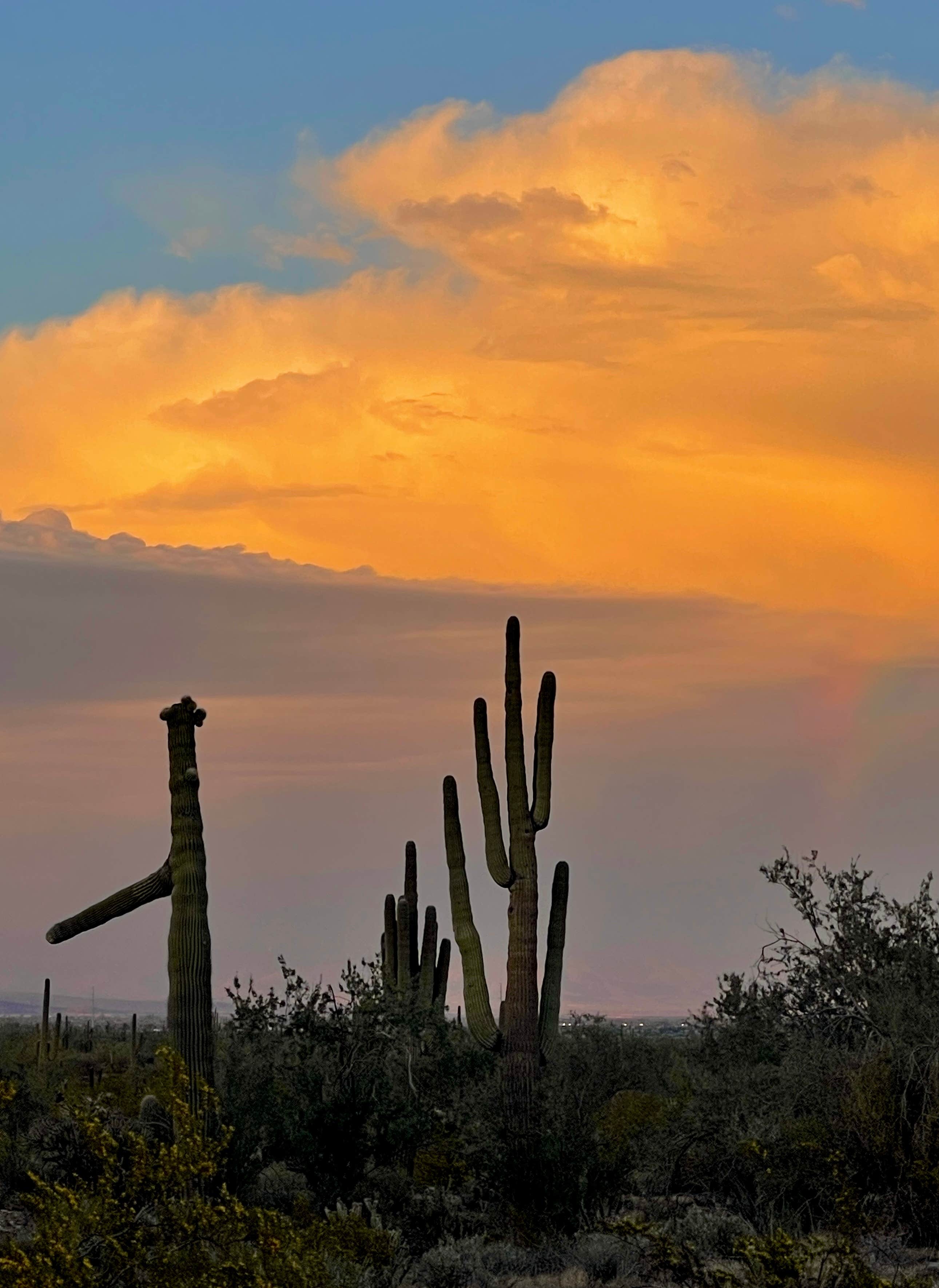 Camper-submitted photo at White Tank Mountain near Wickenburg, AZ