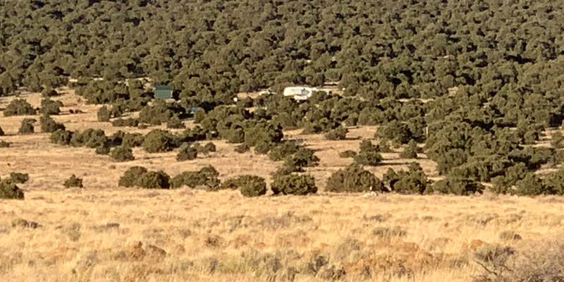 Camper submitted image from Sis Najiini Mountain Ranch Retreat!