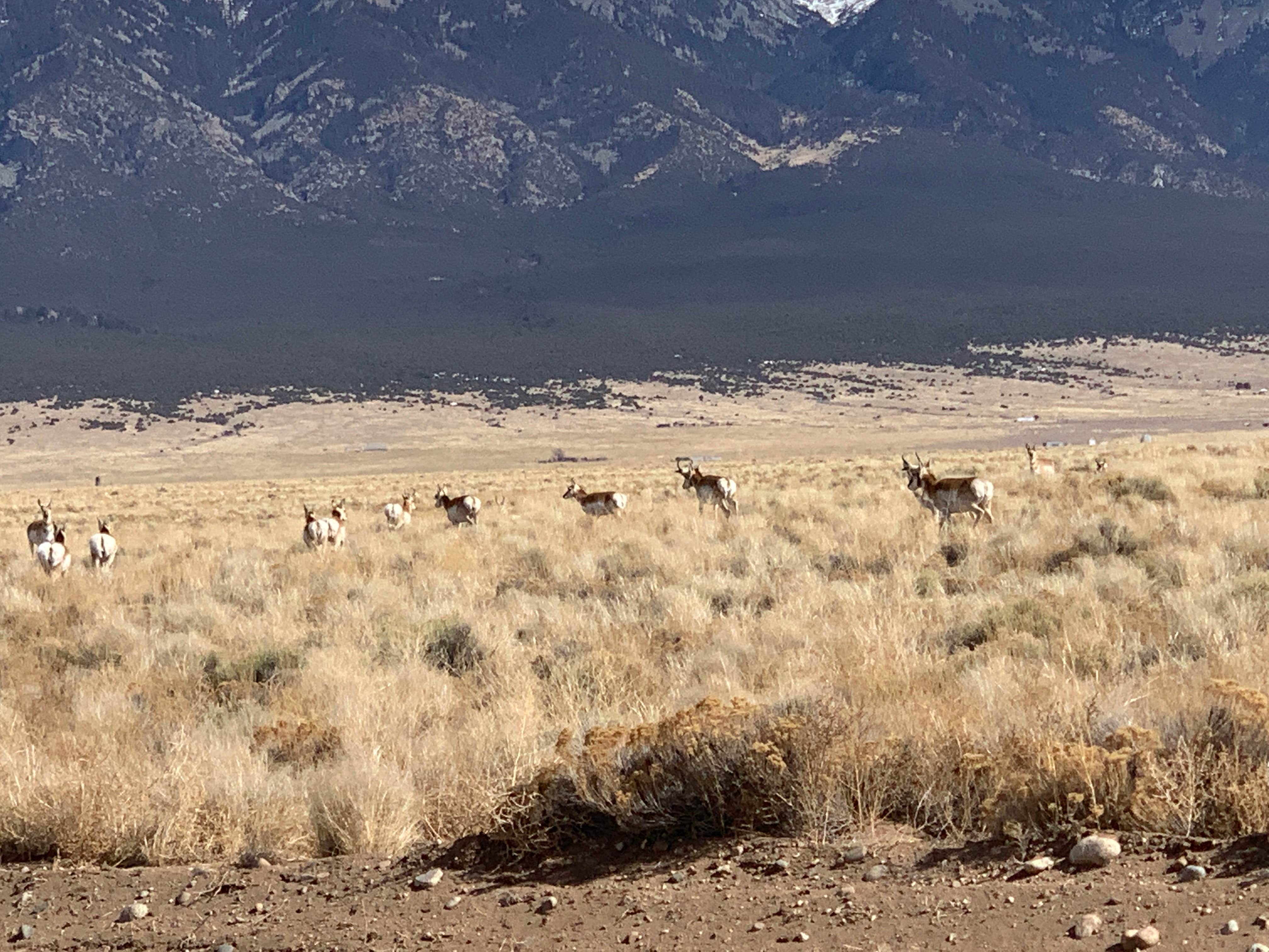 Camper-submitted photo at Sis Najiini Mountain Ranch Retreat! near Comanche, TX