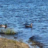 Review photo of Lake Hemet Campground by Brenda , May 2, 2022