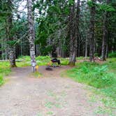 Review photo of Marys Peak by Todd R., August 22, 2021