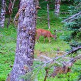 Review photo of Marys Peak by Todd R., August 22, 2021