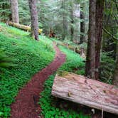 Review photo of Marys Peak by Todd R., August 22, 2021