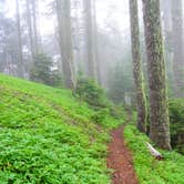 Review photo of Marys Peak by Todd R., August 22, 2021