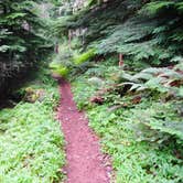 Review photo of Marys Peak by Todd R., August 22, 2021