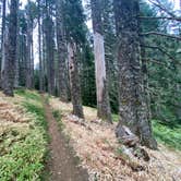 Review photo of Marys Peak by Todd R., August 22, 2021