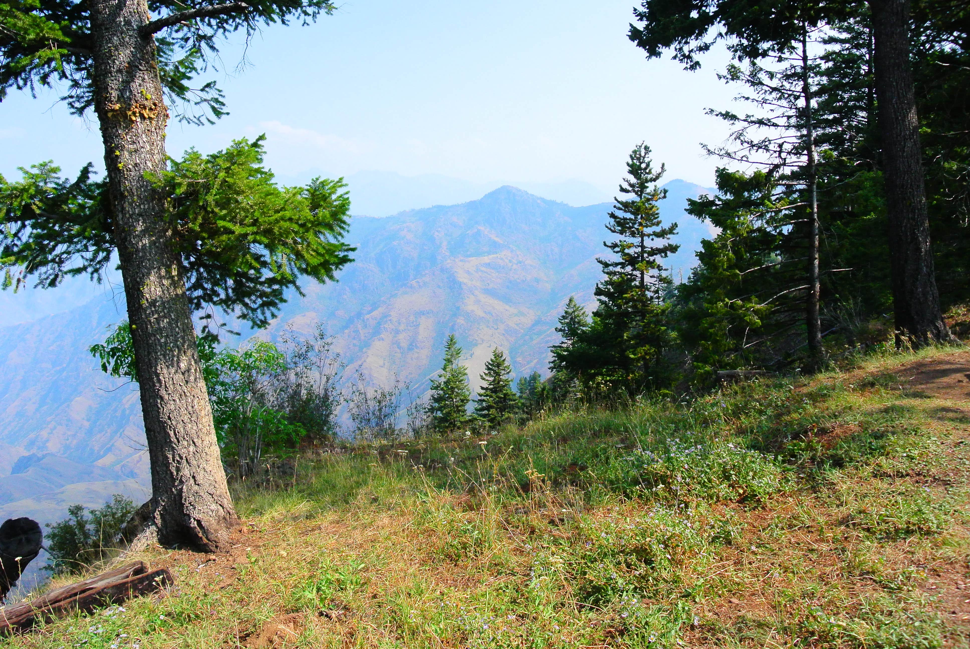 Camper submitted image from Saddle Creek Campground - 2