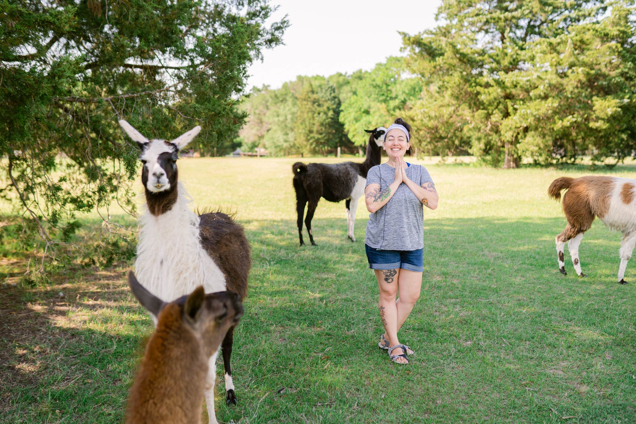LaRee S.'s photo of camping with pets at Llamaland Ranch near Navarro Mills Lake