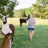 Review photo of Llamaland Ranch by LaRee S., May 3, 2022