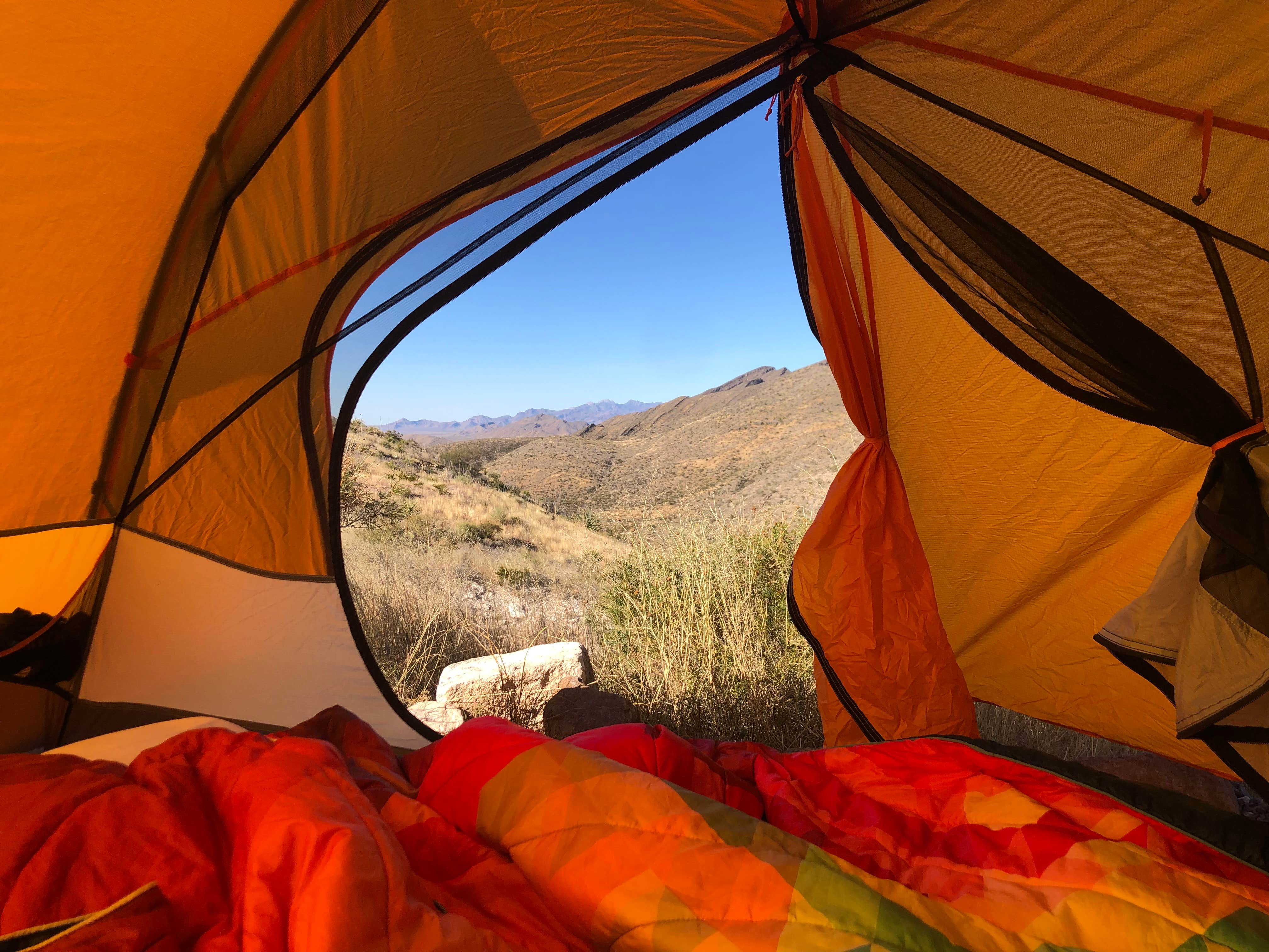 LaRee S.'s photo at Franklin Mountains State Park Campground near Socorro, TX