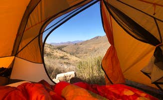 LaRee S.'s photo at Franklin Mountains State Park Campground near El Paso, TX