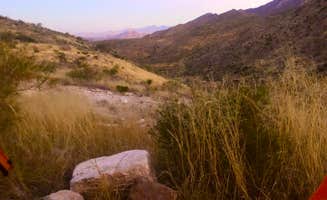 LaRee S.'s photo at Franklin Mountains State Park Campground near Anthony, TX