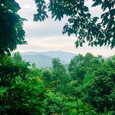 Review photo of Cataloochee Campground — Great Smoky Mountains National Park by LaRee S., May 3, 2022