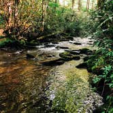 Review photo of Cataloochee Campground — Great Smoky Mountains National Park by LaRee S., May 3, 2022