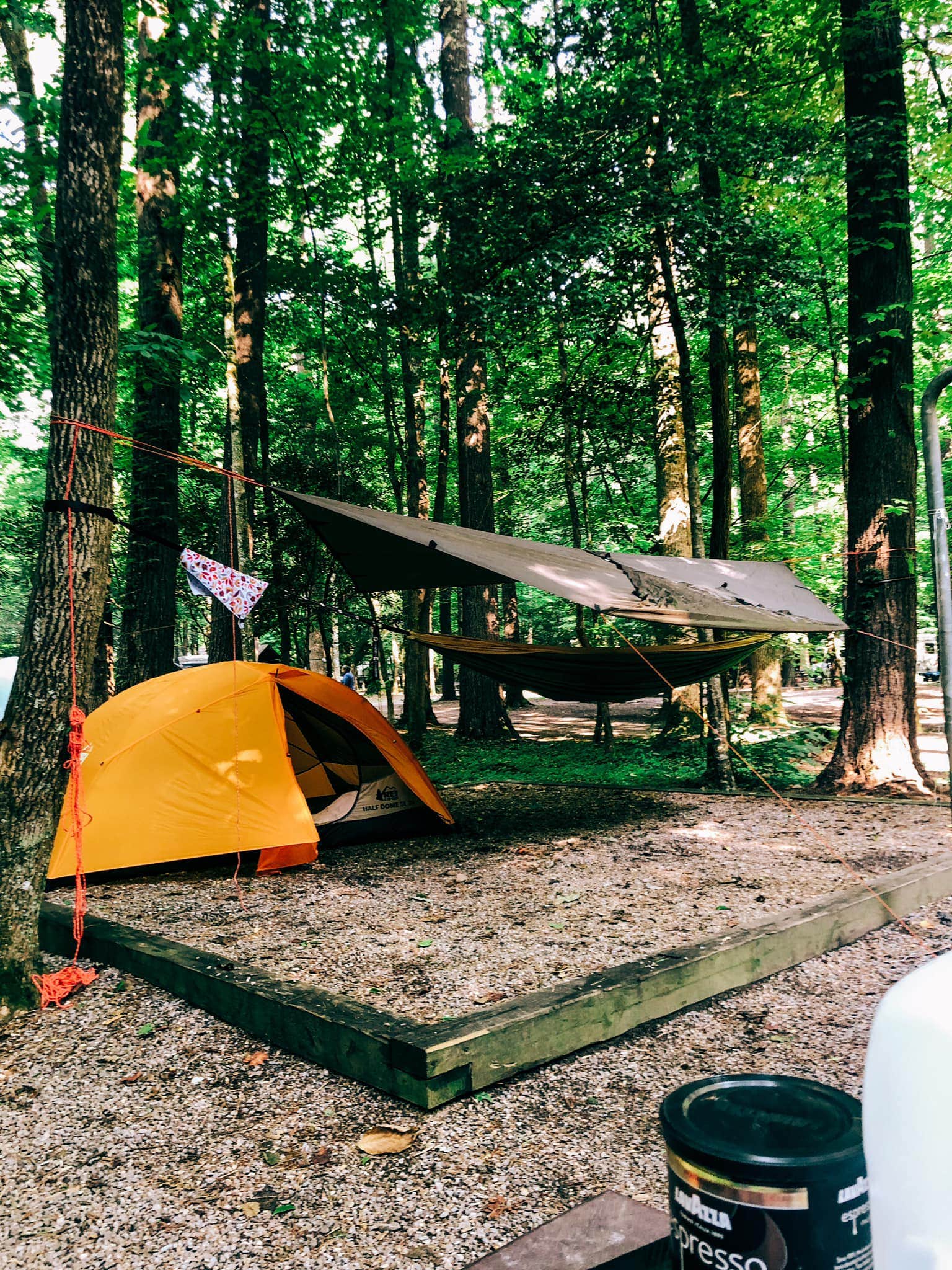 LaRee S.'s photo at Cataloochee Campground — Great Smoky Mountains National Park near Maggie Valley, NC