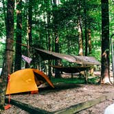 Review photo of Cataloochee Campground — Great Smoky Mountains National Park by LaRee S., May 3, 2022