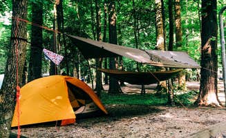 LaRee S.'s photo at Cataloochee Campground — Great Smoky Mountains National Park in North Carolina