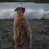 Review photo of Primrose Trailhead by Sierra  S., July 13, 2018