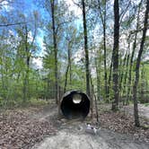 Review photo of Laurel Lake Camping Resort by Bill B., May 2, 2022