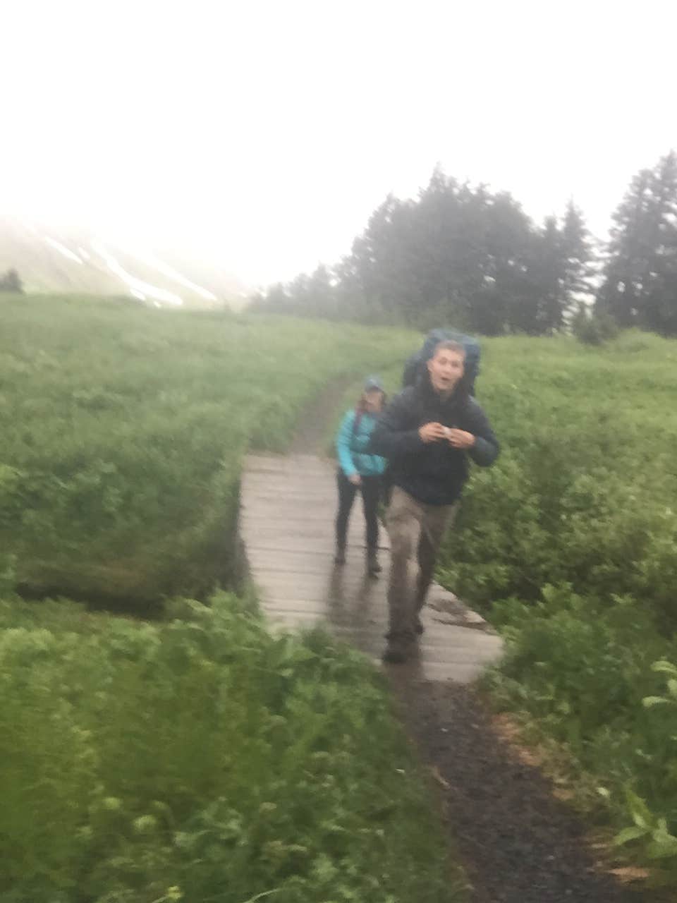 Camper submitted image from Primrose Trailhead - 3