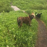 Review photo of Primrose Trailhead by Sierra  S., July 13, 2018