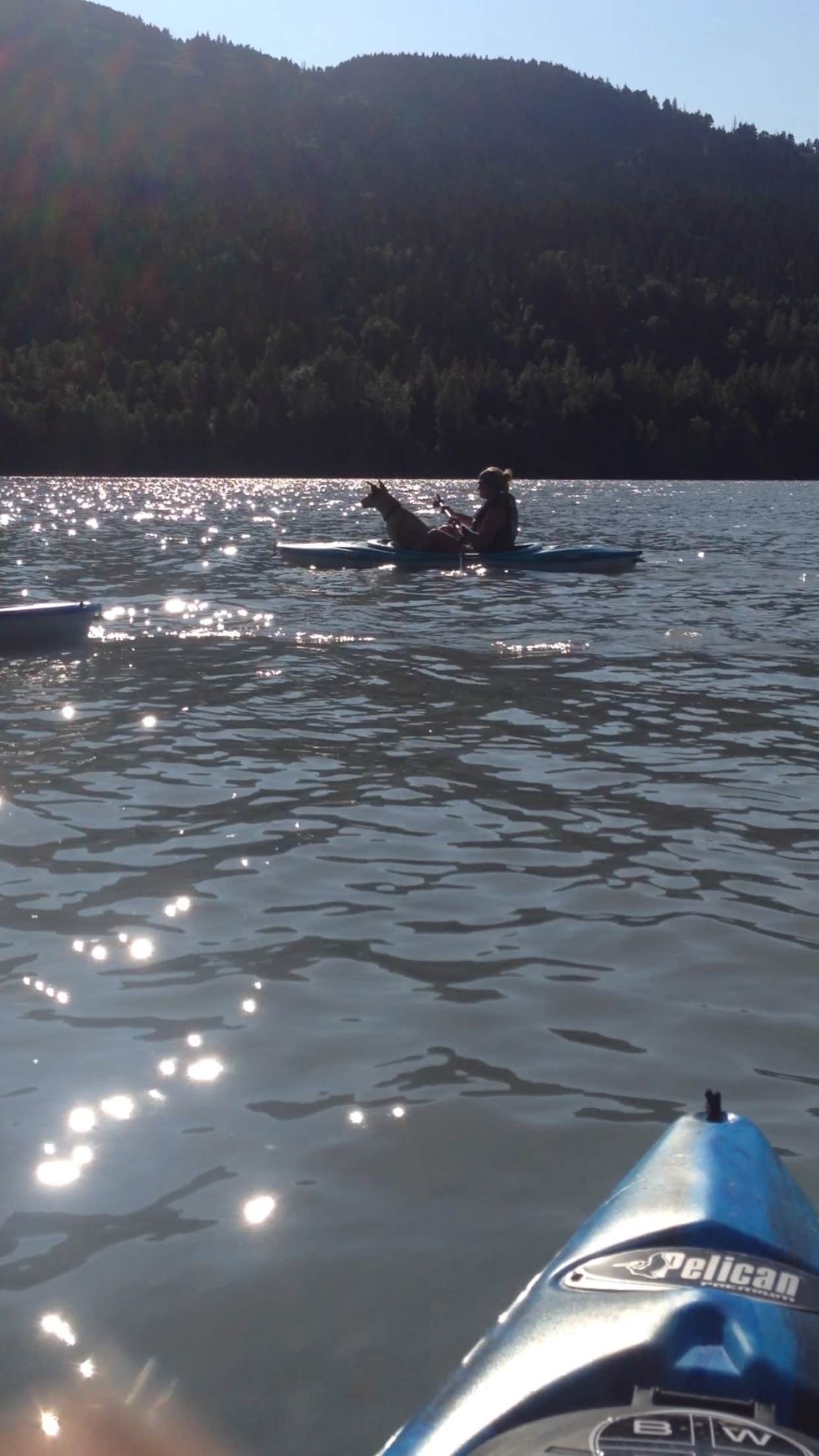Camper-submitted photo at Primrose Trailhead near Moose Pass, AK