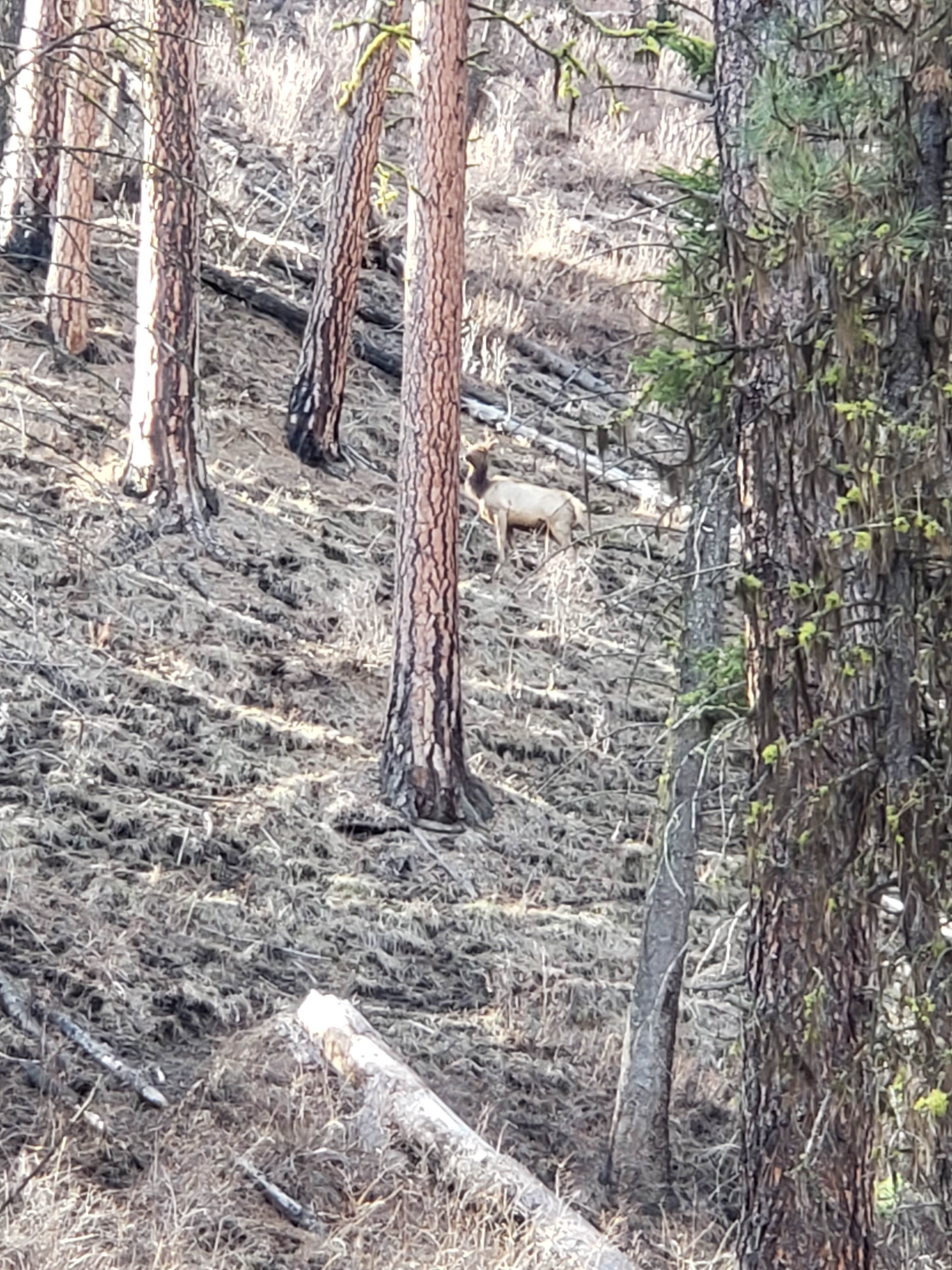 Camper-submitted photo at South Fork Recreation Site near Star, ID